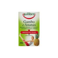 Equilibra - Gambo d'Ananas, 40 Perle - [pacco da 2]