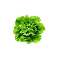 Insalata Lattuga Sfusa, 250-450g