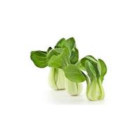 Cavolo Cinese Pack Choi Demeter Lazio, 800-1000g