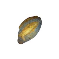 Pane integrale 100% con semi papavero