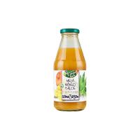 Succo Mela Mango e Aloe Sanovegan