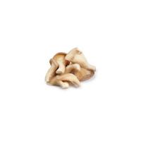 Funghi Pleurotus Veneto, 800-1000g
