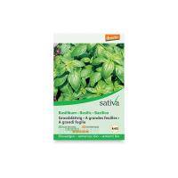 Basilico “Ocimum basilicum” Sativa