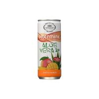 L'Angelica Aloe Mango in Lattina - 3 lattine da 240 ml [720 ml]