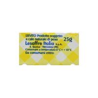 Lievital - Lievito Fresco per Pizza, Pane e Dolci 20x25g (500g)