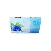 Yogurt al mirtillo Antico Podere Bernardi 2x125g