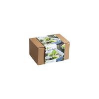 PIZZOCCHERI VALTELLINESI meal kit per 2 persone, Quomi