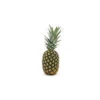 ANANAS DEL MONTE 1.5kg