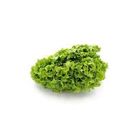 INSALATA GENTILE confezionata