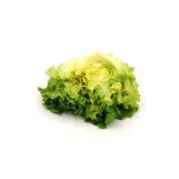 INSALATA SCAROLA confezionata