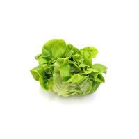 INSALATA TROCADERO confezionata