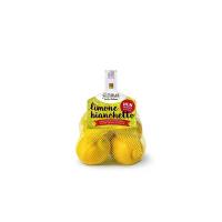 LIMONI BIANCHETTO Citrus