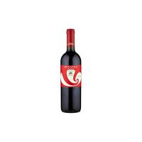 Cantina Valtidone Viti & Vini Bonarda Frizzante Colli Piacentini DOC 0,75 L
