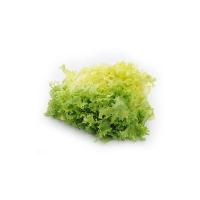 INSALALATA RICCIA confezionata