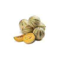 MELONE RETATO BAULETTO 800-1000RGR