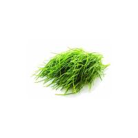 AGRETTI MAZZO