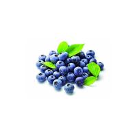 MIRTILLI VASCHETTA 400-600GR
