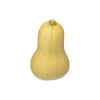 Zucca Butternut Lazio, 800-1000g