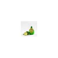 Condy Lime succo di Lime Ital Lemon