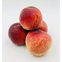 PESCHE GIALLE Biologiche