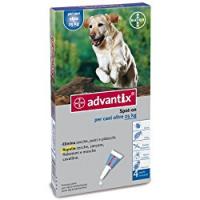 Bayer 4484286 Advantix Cani
