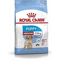 Royal Canin Medium Puppy Alimento Cane