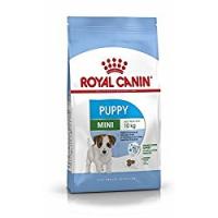 Royal Canin Mini Junior Cibo secco per cuccioli fino a 10 mesi