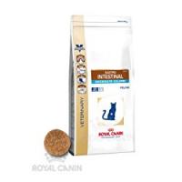 Royal Canin Alimento Gatto Gastro