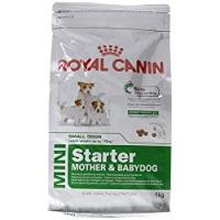 Royal Canin Alimento Cane Mini Starter Mother&Baby