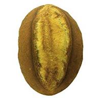 Pane tipo