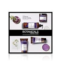 L'Oréal Paris Botanicals Camelina Rituale Lisciante Cofanetto Trattamento Completo per Capelli Indomabili, 4 prodotti, Senza Siliconi, Senza Parabeni, Senza Coloranti