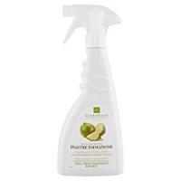 DETERGENTE PIASTRE INDUZIONE Green Oasis