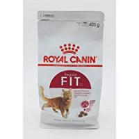 CROCCANTINI GATTO REGULAR FIT 32 Royal Canin