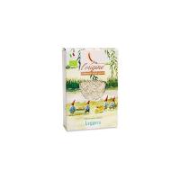 Alimento degli Gnomi ‘Leggera’ L’Origine