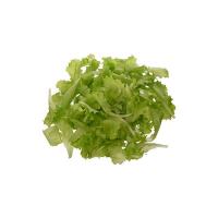 Maramao - Insalata Lattughino