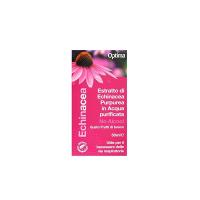 Echinacea Estratto No Alcool