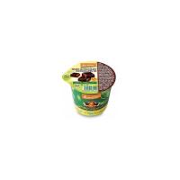 Gelato al cioccolato in coppetta Rachelli