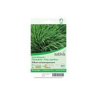 Erba cipollina “Allium schoenoprasum” Sativa