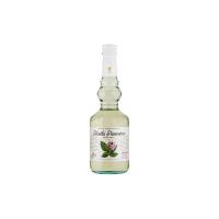 Sciroppo Vincenzi menta piperita bianca