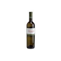 Sauvignon “Friuli grave” DOC Arcania