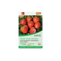 Pomodoro cuore di bue “lycopersicon esculentum” Sativa