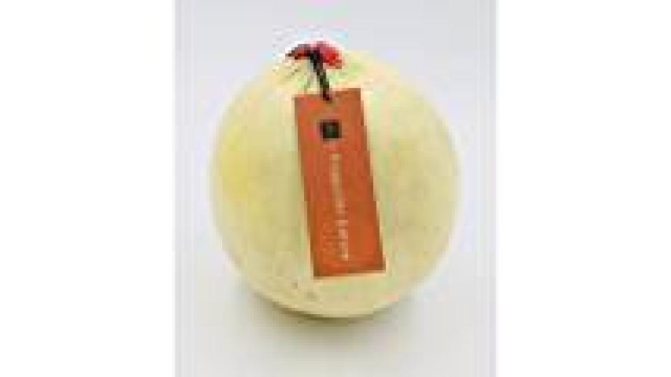 MELONE LISCIO IGP MANTOVA il Viaggiator Goloso, (1pz/unità) 1000-1400g