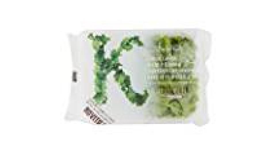 BABY KALE Foglie di Cavolo Riccio Insal'Arte