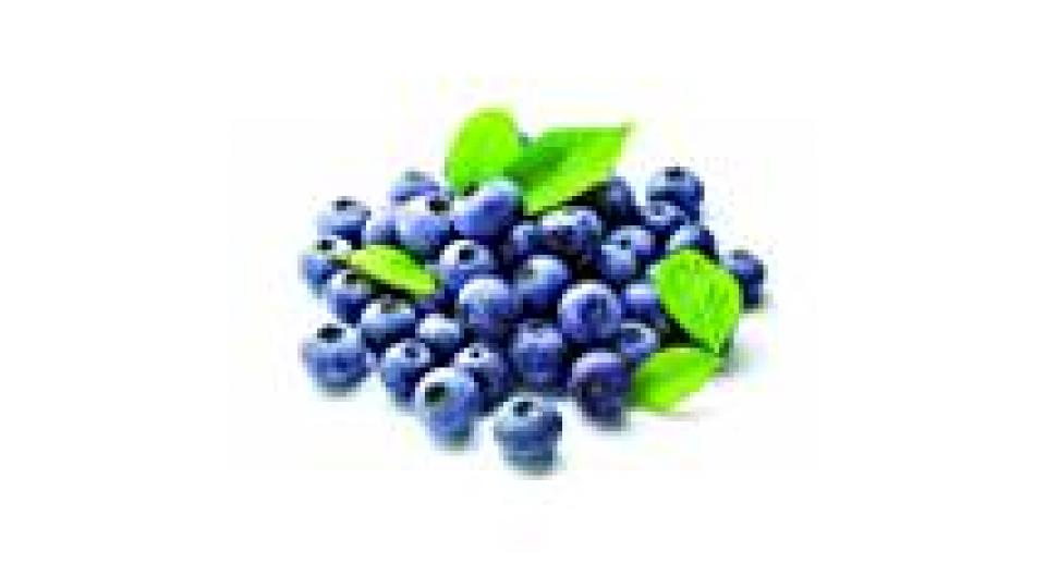 MIRTILLI VASCHETTA 400-800GR