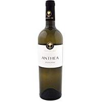 Cantine Due Palme - Anthea Falanghina 2017, vino bianco
