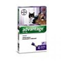 Bayer 84329046 Advantage Spot On Gatto