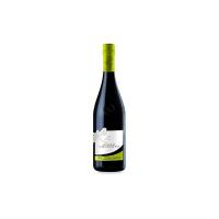 Rosso “Convento” IGT senza solfiti Pizzolato