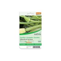 Zucchina “Alberello di Sarzana” Sativa