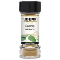 Salvia Macinata