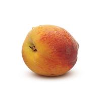 Pesche Percocche 